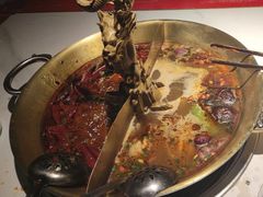 -小龙翻大江文化火锅(宽窄店)