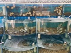 -仙螺岛海鲜自助餐厅(总店)