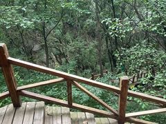 -大岭沟猕猴桃谷风景区