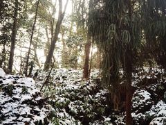 -青城山