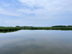 -白渔泡湿地公园