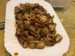 -清真·安乐园菜馆(茶南店)