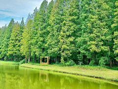 -黄海国家森林公园