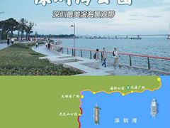 -深圳湾公园(南山区)