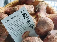-滇野云南野生菌餐厅(陕西南路店)