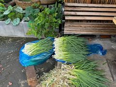 -皮市街大油火烧