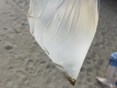 -碧海金沙