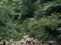 -青峰峡国家森林公园