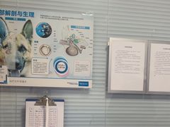 -瑞派福兴宠物医院犬猫全科·骨科·中西医结合(河东店)