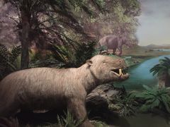 -湖南省地质博物馆