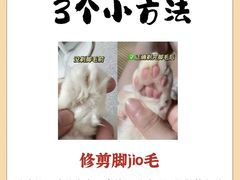 -博特宠物医院24h犬猫全科.骨科·异宠