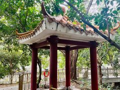 -小洲村
