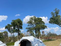 -上海长兴岛郊野公园