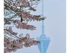 -红星桥(地铁站)