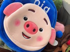 -鹏佳腾学生文创