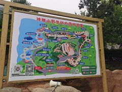 -西霞口神雕山野生动物世界