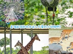 -常州淹城野生动物世界