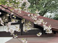 -中国茶叶博物馆(双峰馆区)
