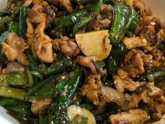 湘村黑猪辣椒炒肉-壹盏灯(惠农店)