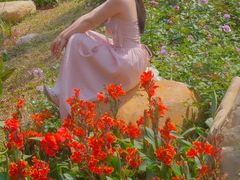 -人民公园(罗湖区)