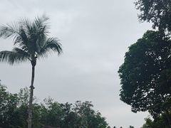 -七仙岭君澜度假酒店