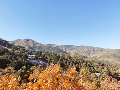 -香山公园