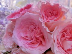 -循礼门鲜花花市(武汉循礼门店)