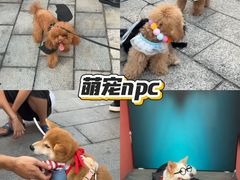 -华谊兄弟（长沙）电影小镇