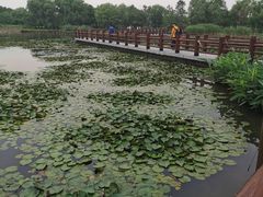 -长兴太湖图影湿地文化园