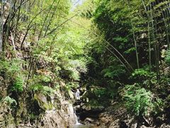 -藏龙百瀑风景区