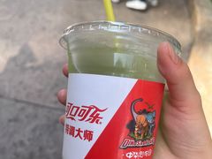 -中华恐龙园