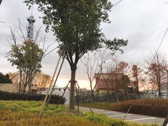 -上海山野camping·户外天幕烧烤·团建拓展营地