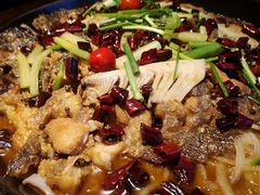 -老板恋上鱼(恒隆广场店)