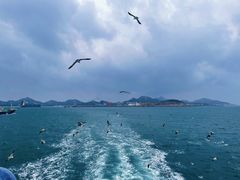 -海驴岛(荣成市)