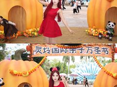-灵玲国际马戏城