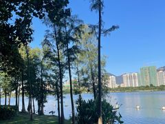 -飞来湖湿地公园