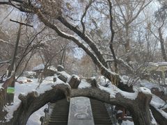 -水磨沟公园