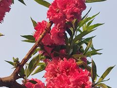 -元大都城垣遗址公园