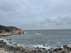 -广东惠东海龟国家级自然保护区