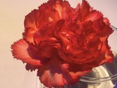 -眉州东坡(清华园店)