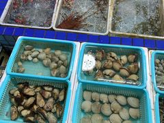 -霞涌市场海鲜摆卖区