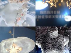-海合安青岛极地海洋公园