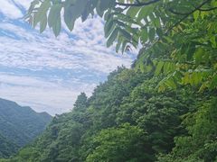 -王顺山国家森林公园