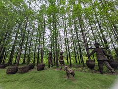 -上海长兴岛郊野公园