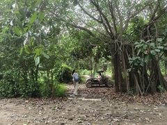 -天下先生态园农庄CS团建露营地(海鸥岛店)