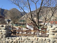 -北京市海淀外国语实验学校