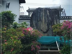 -瑞丰园庭院餐厅·白族传统家常菜