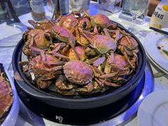 -半岛听涛蒸汽海鲜自助(K11店)