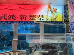 -俏立方·15年新楚菜