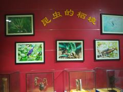 -上海昆虫博物馆